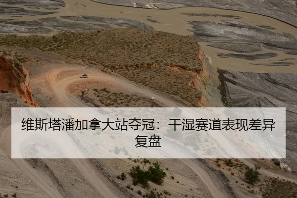 维斯塔潘加拿大站夺冠：干湿赛道表现差异复盘